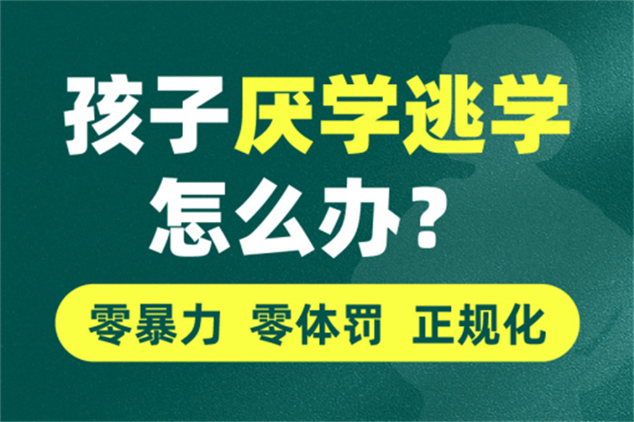 湖北武漢市十大沉迷游戲無法自拔的戒網學校名單公布一覽-圖1