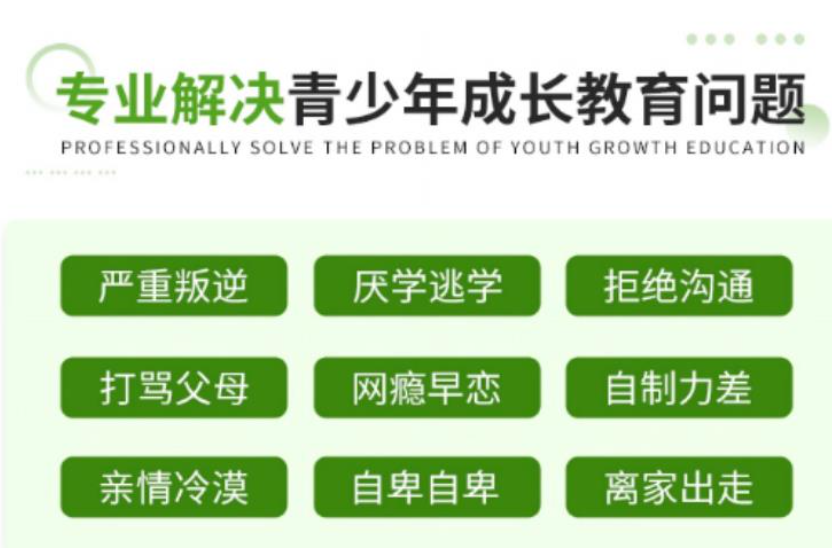 湖北武漢漢陽區專業叛逆青少年教育機構2025年度精選榜單-圖2