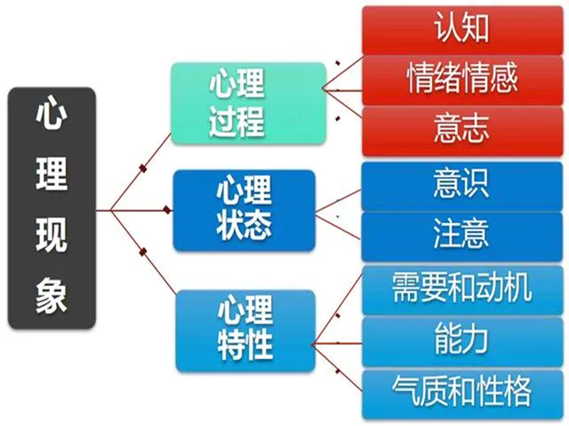 2025年中國心理衛生協會的心理咨詢師如何報考?-圖1