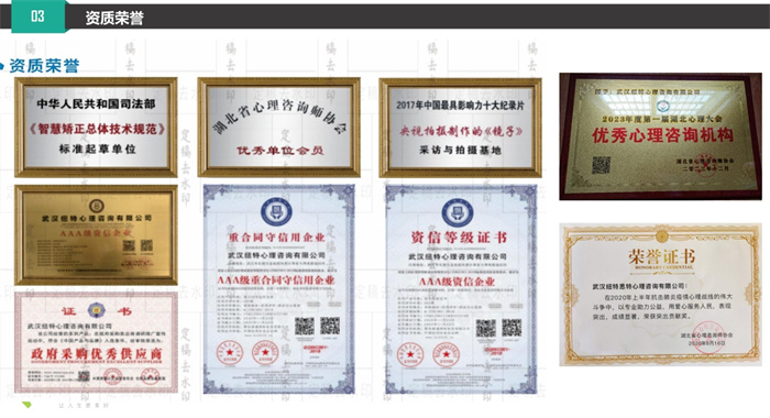 武漢10大叛逆全封閉管教學(xué)校一覽匯總-青少年戒網(wǎng)癮正規(guī)學(xué)校-圖4