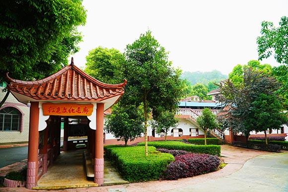 重慶德志錦輝素質教育為什么好評如潮？-圖1