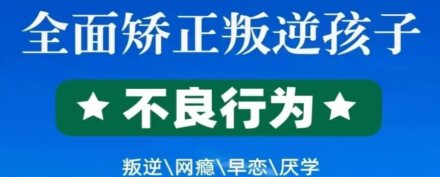 湖北武漢紐特心理-青少年心理健康特訓學校 -圖1