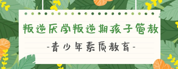 湖北武漢叛逆少年,厭學早戀問題孩子教育學校,紐特心理教育學校-圖1