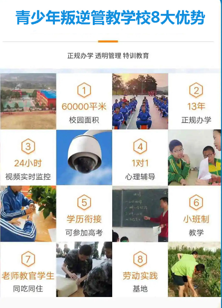 湖北武漢叛逆孩子\戒網癮 \軍事化特訓管理學校-紐特教育-圖2