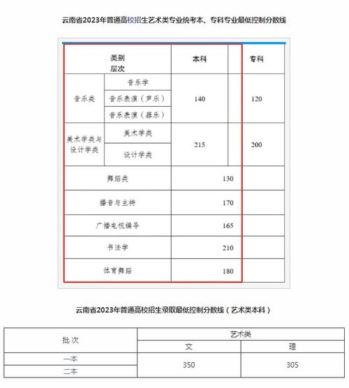 2024云南藝術學院錄取分數線-圖1