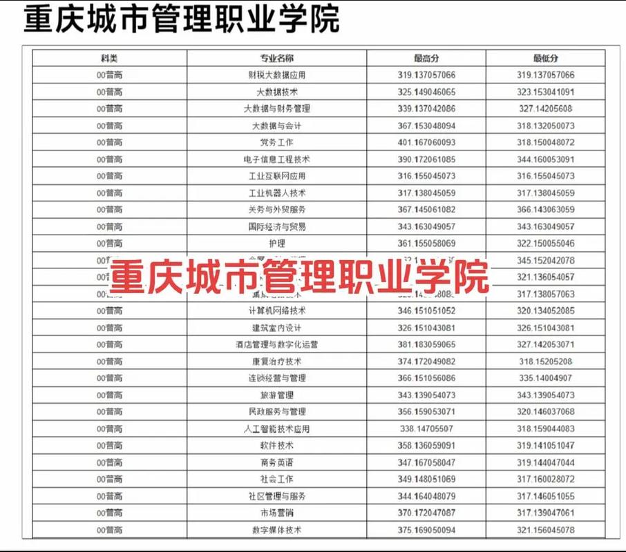 重慶城市管理職業學院錄取分數線-圖1