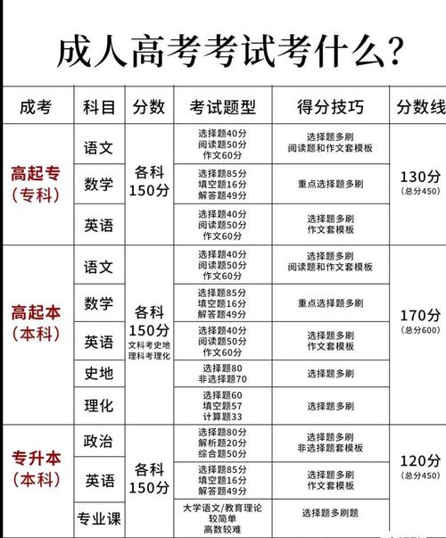 高考先考什么科目-圖1