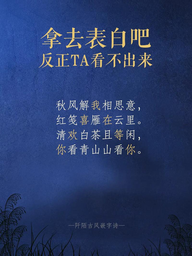 表白的詩句藏頭詩-圖1