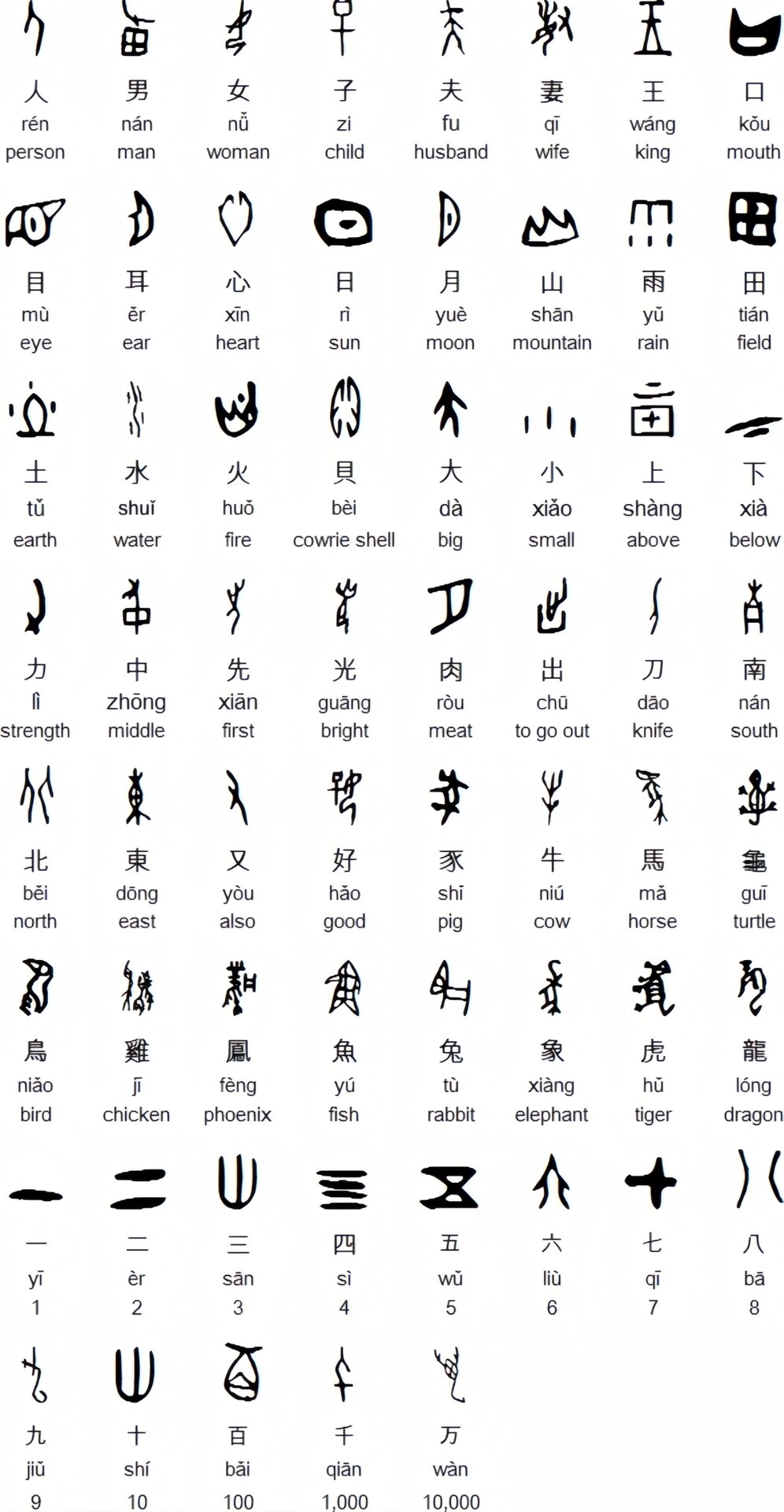 漢字是什么文字-圖1