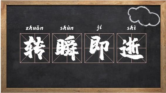 轉(zhuǎn)瞬即逝意思-圖1