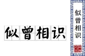 似曾相識(shí)的意思-圖1