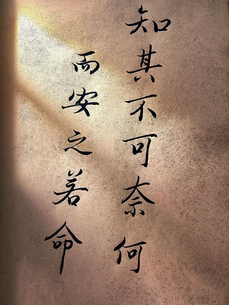 安之若命是什么意思_近義詞_來(lái)源-圖1