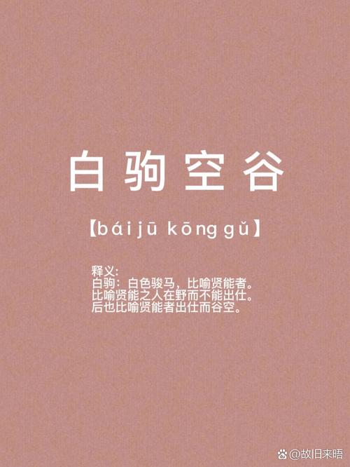 白駒空谷是什么意思_近義詞_來源-圖1