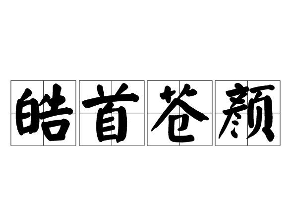 皓首蒼顏的解釋_近義詞_反義詞-圖1