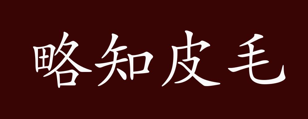 略知皮毛的解釋_近義詞_反義詞-圖1