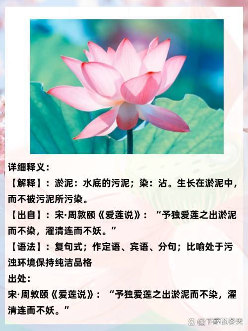 出淤泥而不染的解釋_近義詞_反義詞-圖1