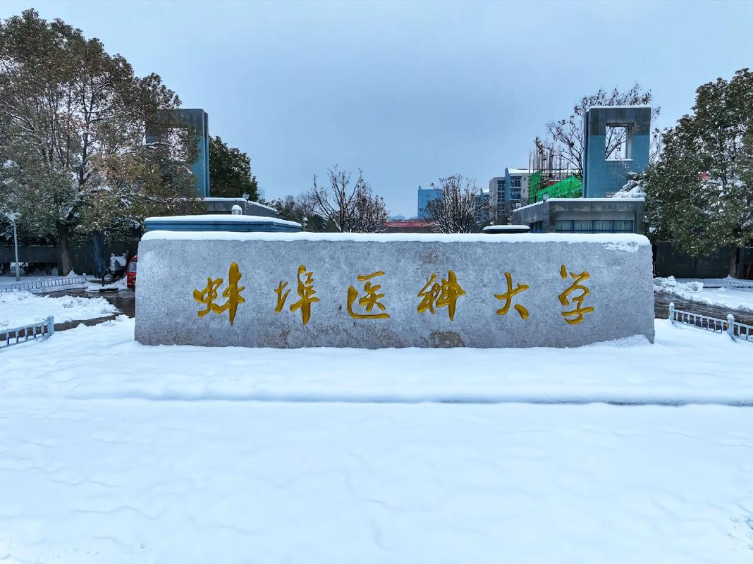 權(quán)威解讀！2025安徽自考護(hù)理學(xué)本科唯一報考院校：蚌埠醫(yī)科大學(xué)-圖1