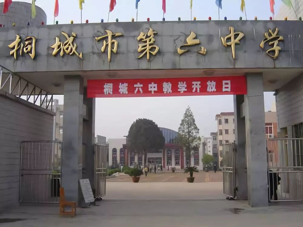 官方發(fā)布｜2025年合肥中考后升學(xué)新選擇：桐城六中綜合高中部開(kāi)啟本科通道-圖1
