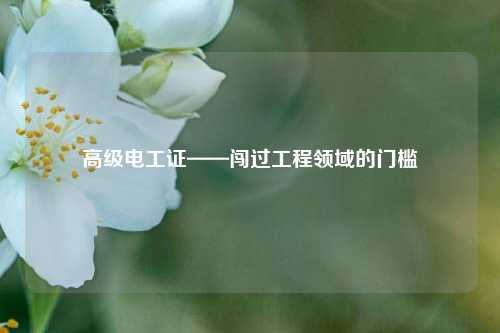 高級電工證——闖過工程領域的門檻-圖1