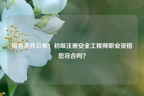 報名條件公布！初級注冊安全工程師職業資格您符合嗎？-圖1