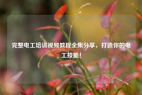完整電工培訓視頻教程全集分享，打造你的電工技能！-圖1