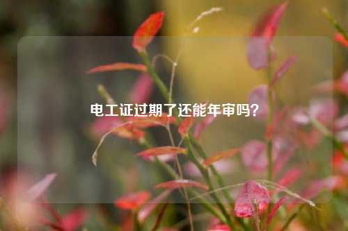 電工證過期了還能年審嗎？-圖1