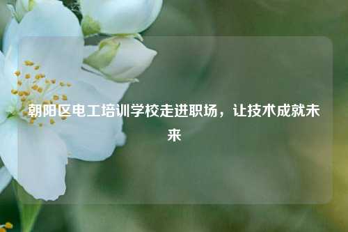 朝陽區電工培訓學校走進職場，讓技術成就未來-圖1
