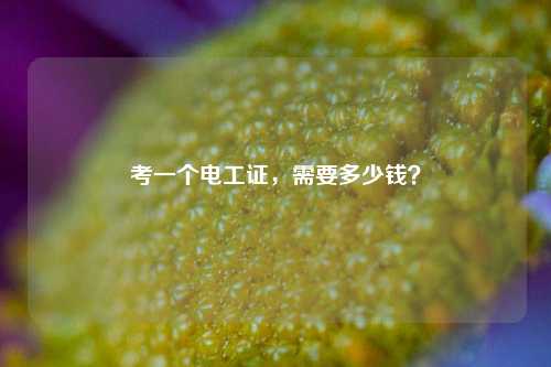 考一個電工證，需要多少錢？-圖1