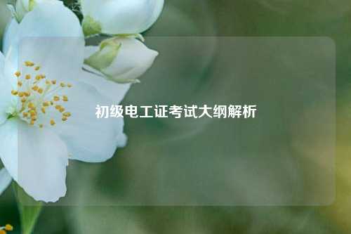 初級電工證考試大綱解析-圖1