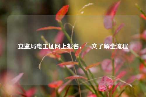 安監局電工證網上報名，一文了解全流程-圖1