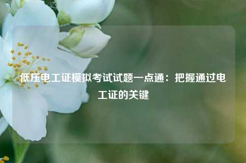 低壓電工證模擬考試試題一點通：把握通過電工證的關鍵-圖1