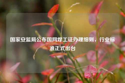國(guó)家安監(jiān)局公布國(guó)網(wǎng)焊工證辦理細(xì)則，行業(yè)標(biāo)準(zhǔn)正式出臺(tái)-圖1