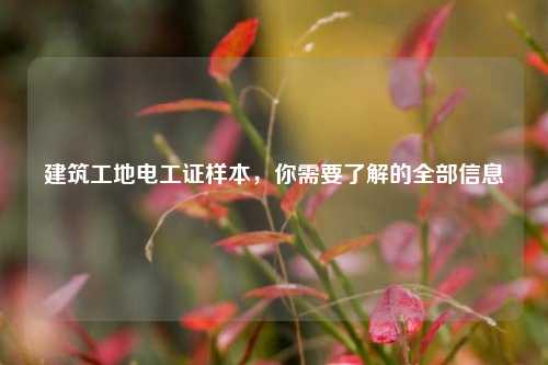 建筑工地電工證樣本，你需要了解的全部信息-圖1