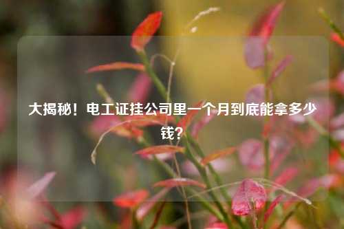 大揭秘！電工證掛公司里一個月到底能拿多少錢？-圖1