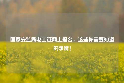 國家安監(jiān)局電工證網(wǎng)上報(bào)名，這些你需要知道的事情！-圖1