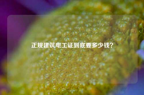 正規建筑電工證到底要多少錢？-圖1