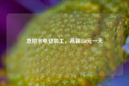 急招水電安裝工，高薪350元一天-圖1