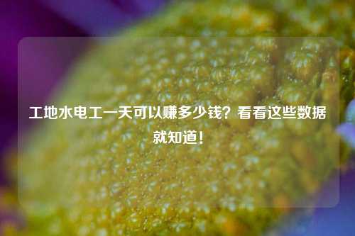 工地水電工一天可以賺多少錢？看看這些數據就知道！-圖1