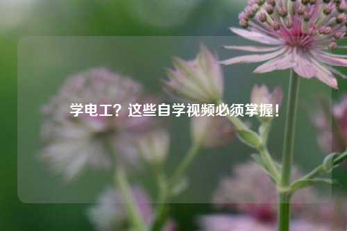學(xué)電工？這些自學(xué)視頻必須掌握！-圖1