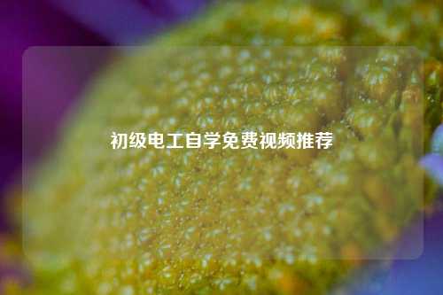初級電工自學免費視頻推薦-圖1