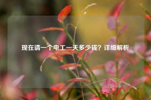 現(xiàn)在請一個(gè)電工一天多少錢？詳細(xì)解析-圖1