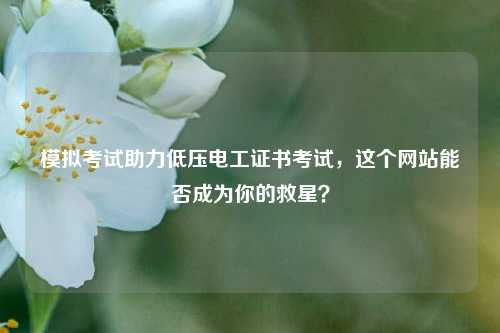 模擬考試助力低壓電工證書考試，這個網(wǎng)站能否成為你的救星？-圖1