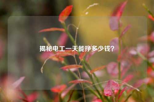 揭秘電工一天能掙多少錢？-圖1