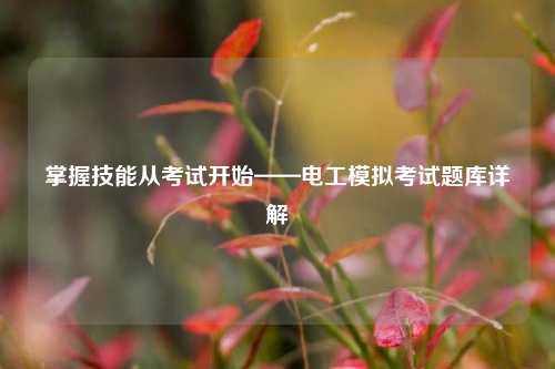 掌握技能從考試開始——電工模擬考試題庫詳解-圖1