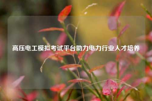 高壓電工模擬考試平臺助力電力行業人才培養-圖1