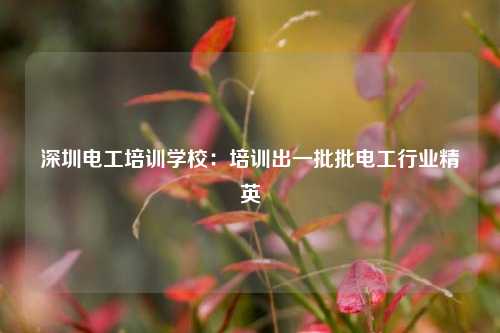 深圳電工培訓(xùn)學(xué)校：培訓(xùn)出一批批電工行業(yè)精英-圖1