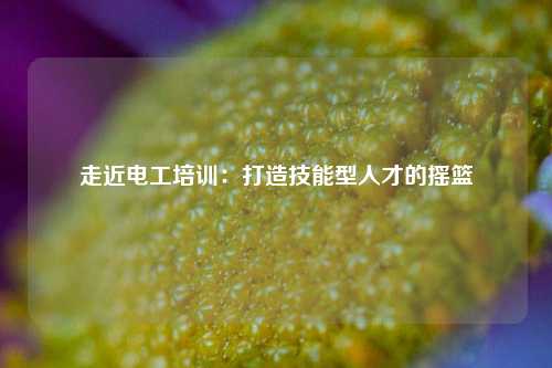 走近電工培訓：打造技能型人才的搖籃-圖1