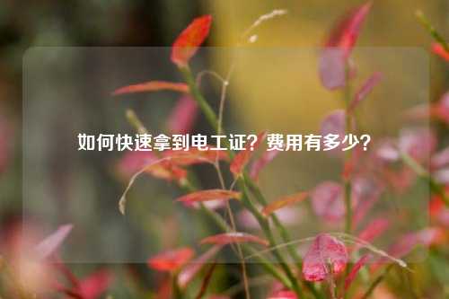 如何快速拿到電工證？費用有多少？-圖1