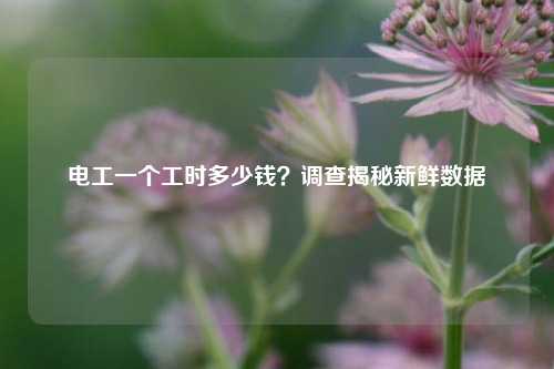 電工一個(gè)工時(shí)多少錢？調(diào)查揭秘新鮮數(shù)據(jù)-圖1