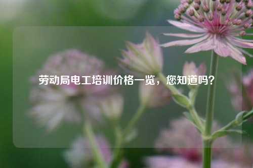 勞動局電工培訓價格一覽，您知道嗎？-圖1